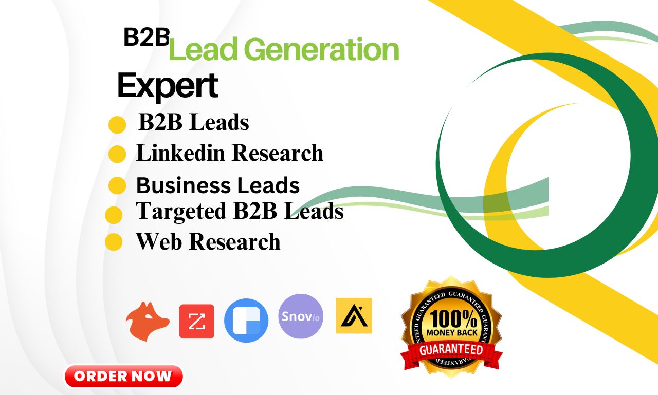 Lead generation, Freelancer Hasib, digital Marketing and SEO expert